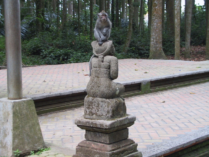 temple monkey1