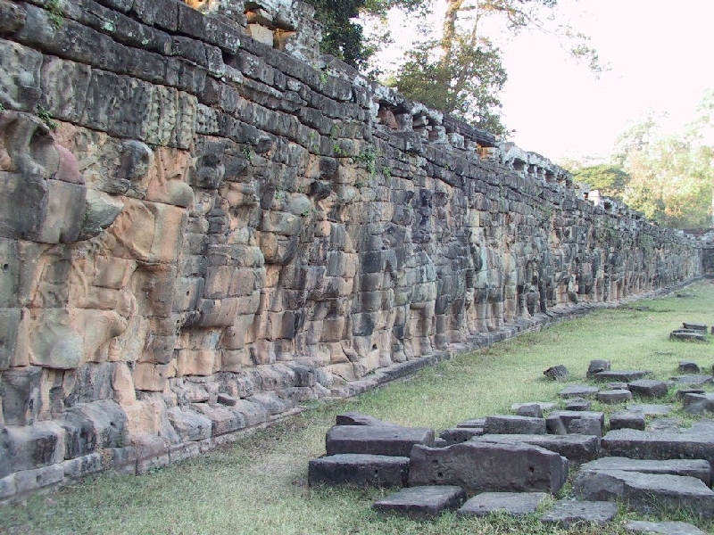 100q.terrace elephant