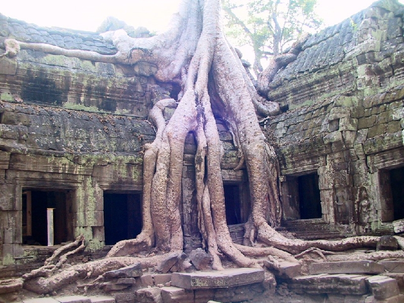 112.TaProhm