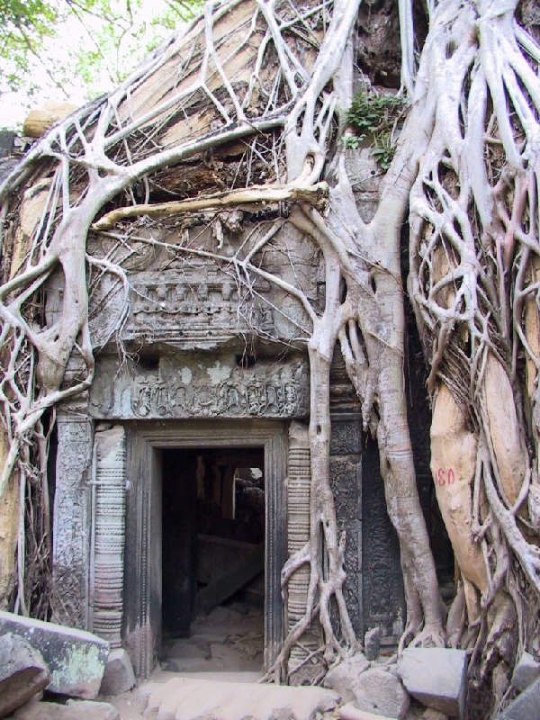 121.TaProhm