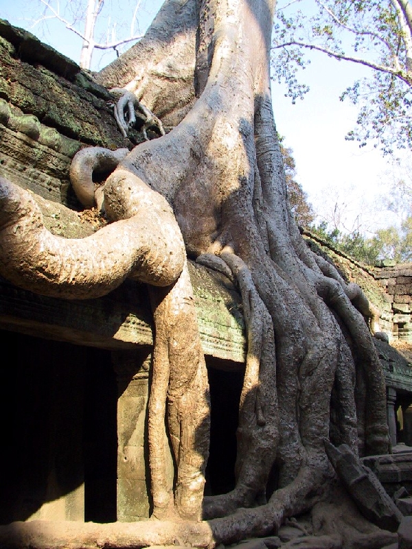 125.TaProhm