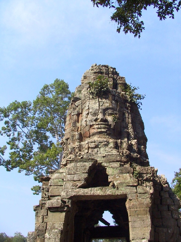 131.TaProhm
