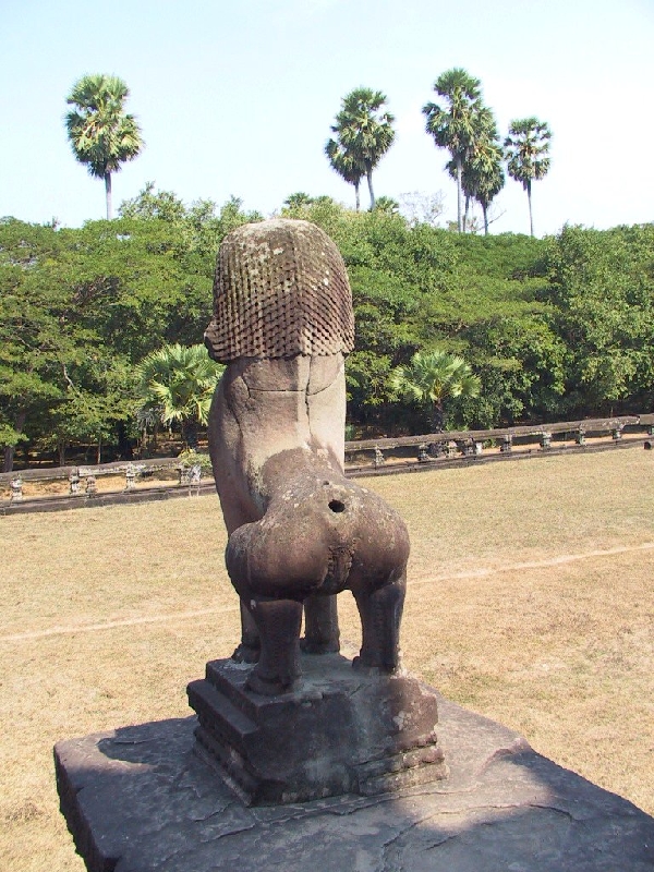 156.lion