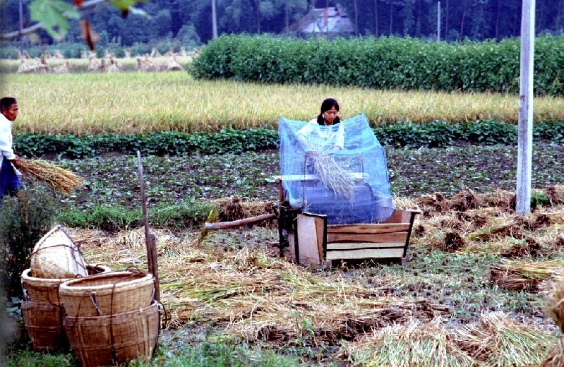 chengdu175