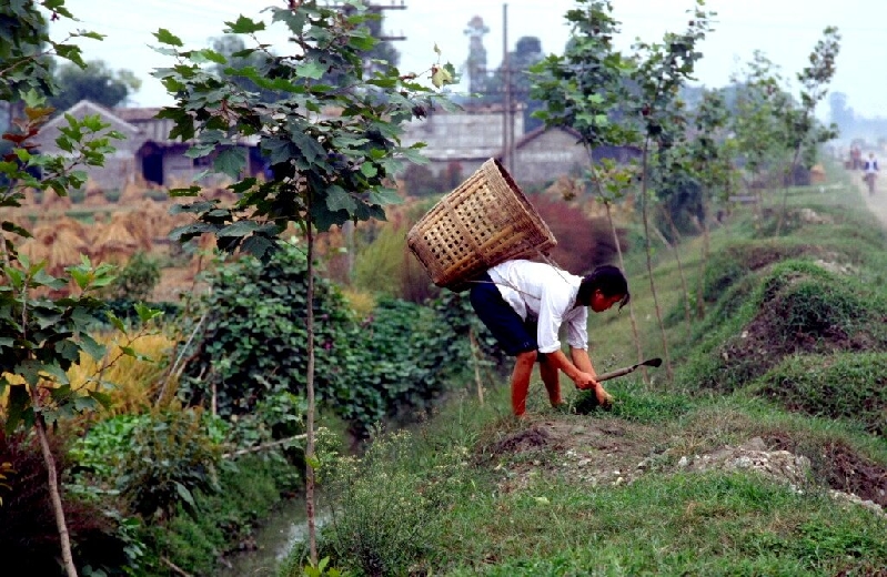 chengdu177