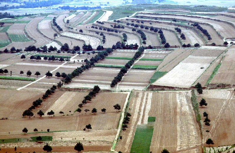 xian135