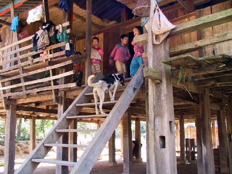 41.more kids