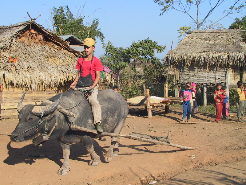 68.buffalo kid