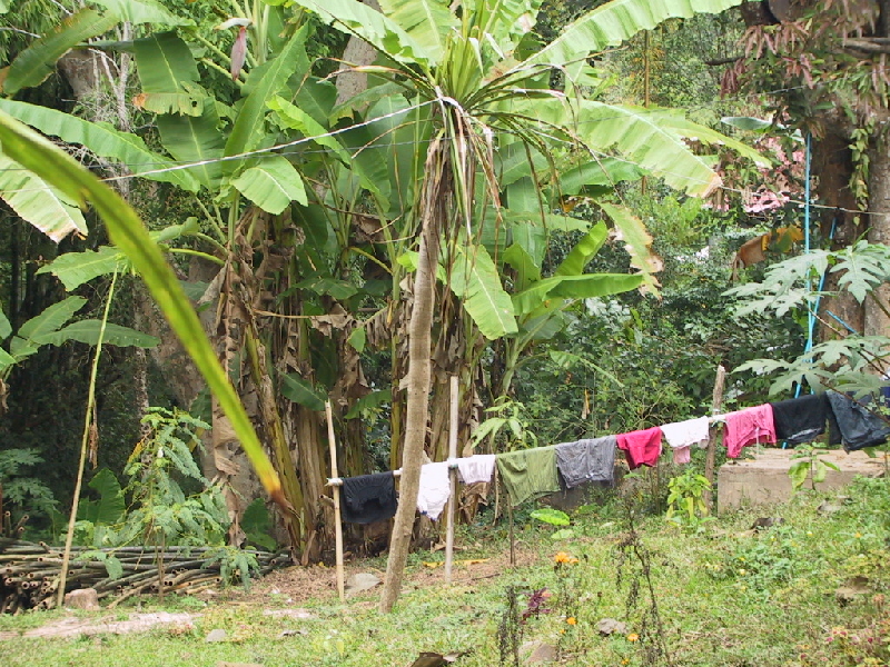 163.laundry