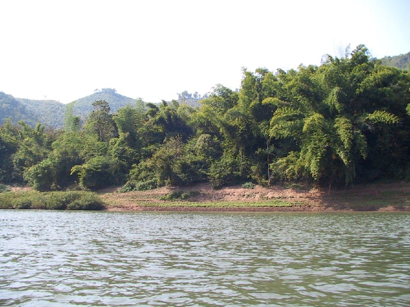 231.river bank