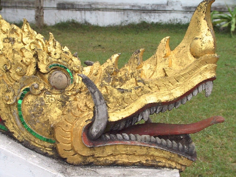 254.detail