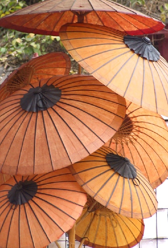 284.sun umbrellas