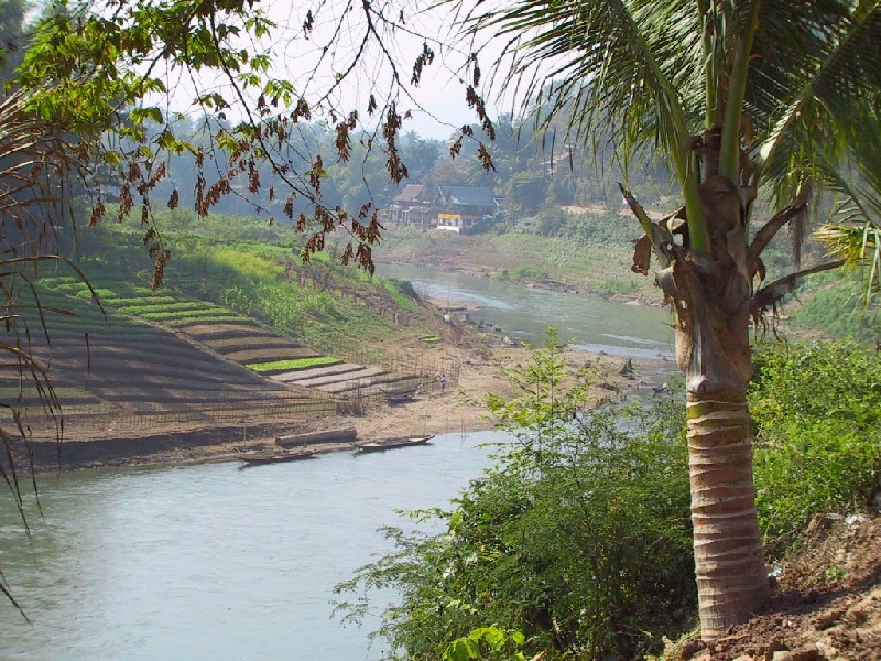 286.mekong view