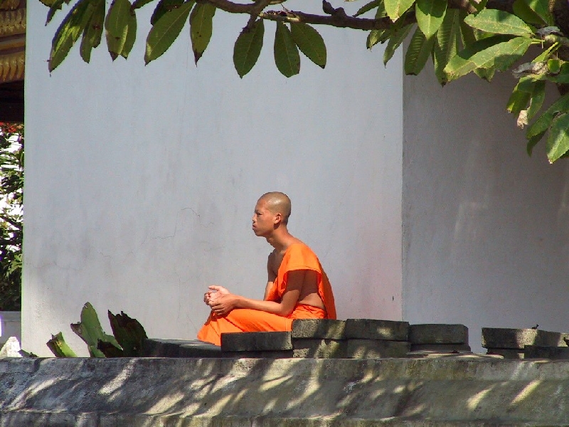 297.monk at WatSop