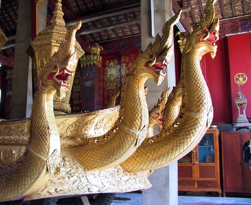 310.naga