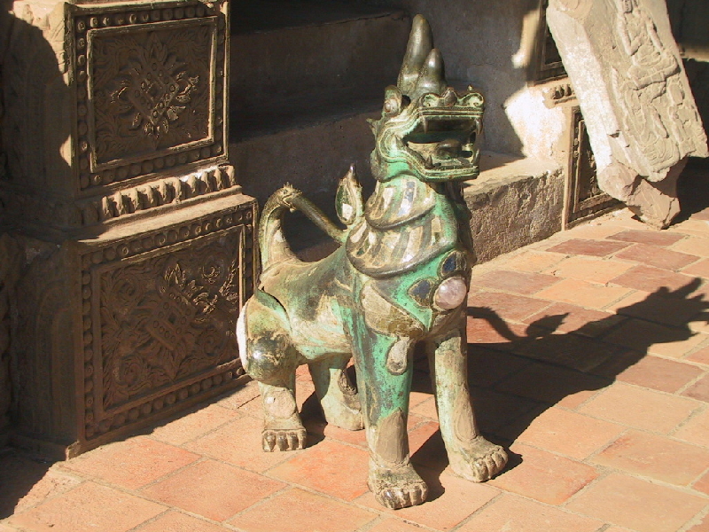 423.dog