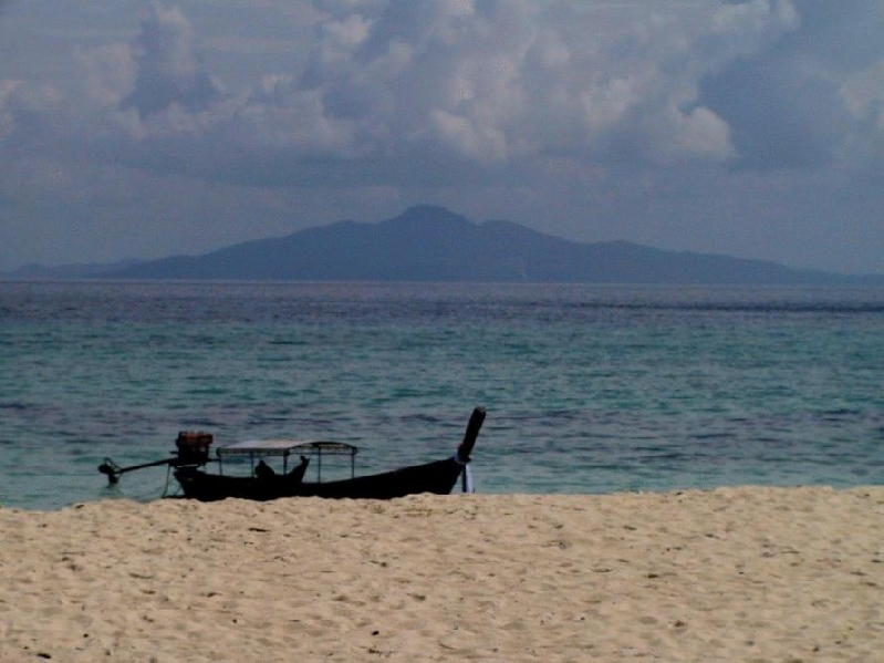 bamboo island1