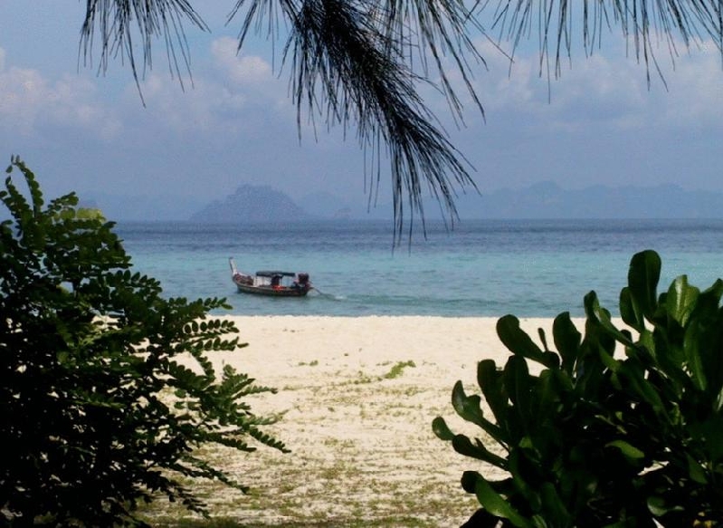 bamboo island2