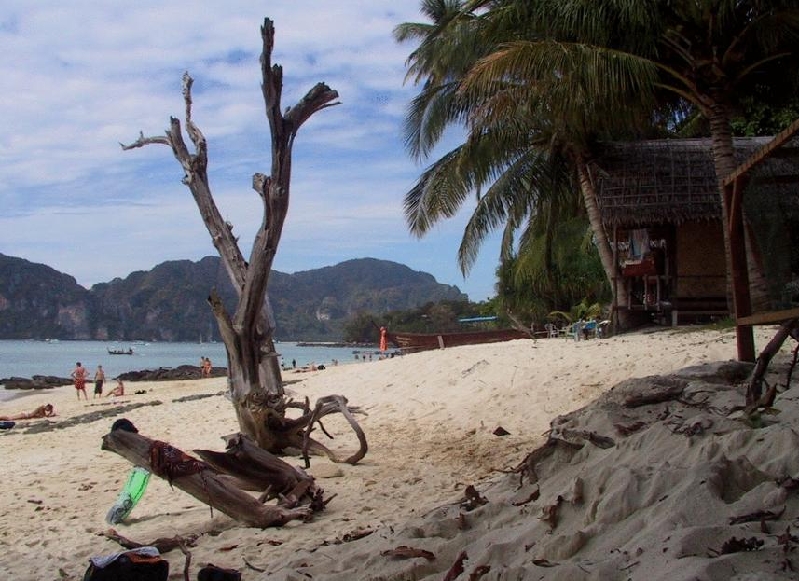 phiphi beach5