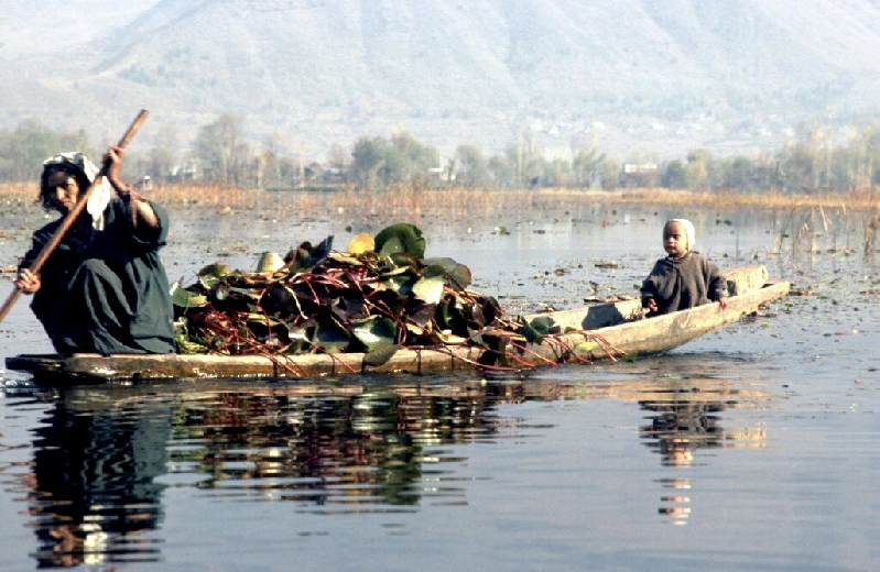 kashmir117