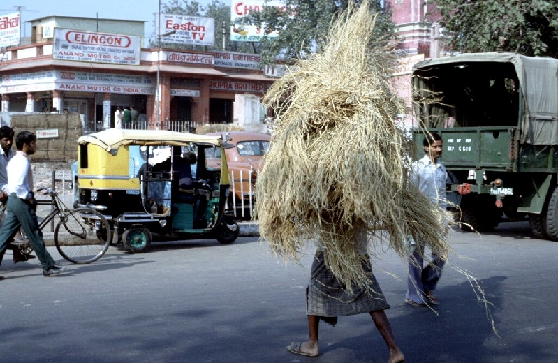new delhi023