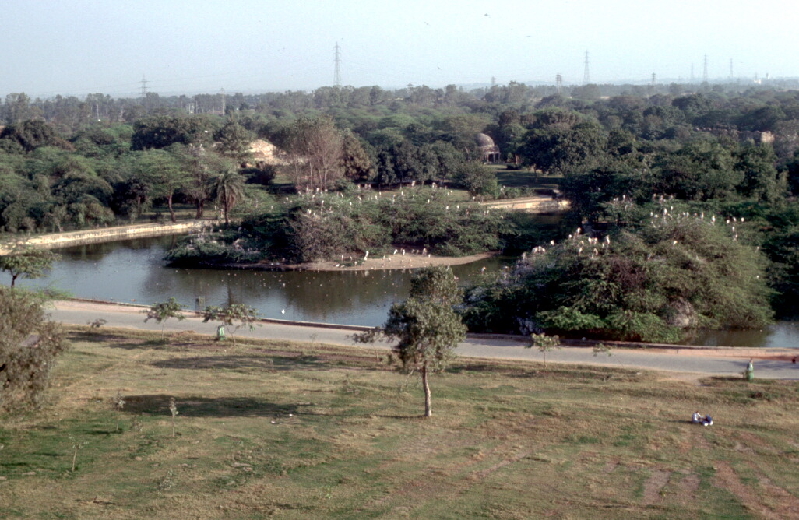 new delhi180