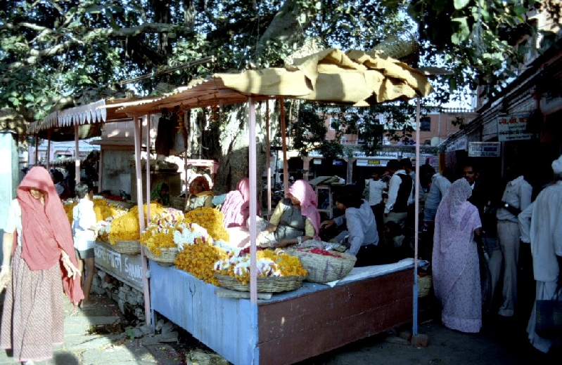 raj207