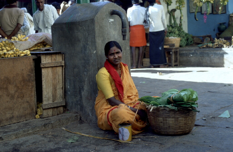 south india123