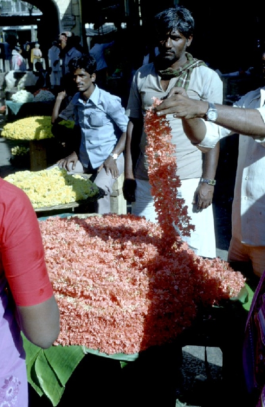 south india124