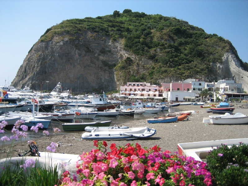 IMG 0746