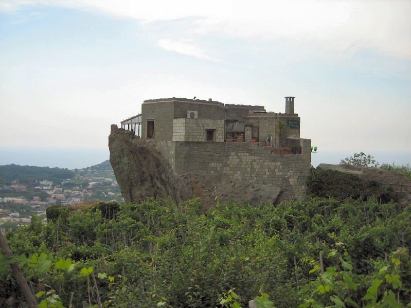 IMG 0789