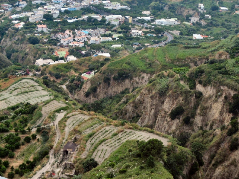IMG 0791