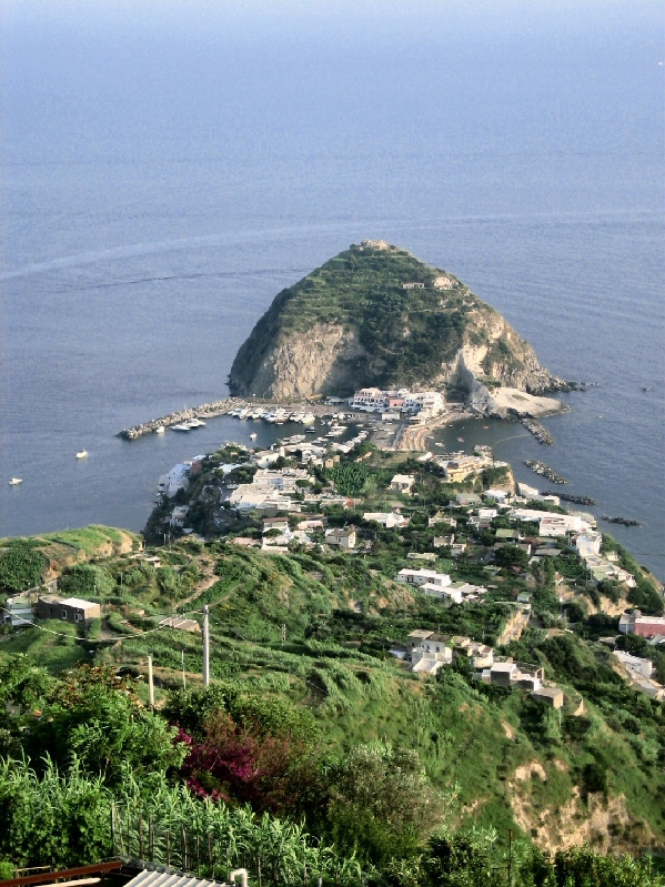 IMG 0811