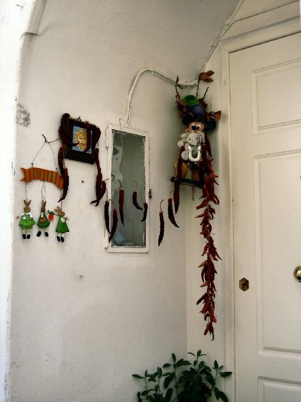 IMG 0833