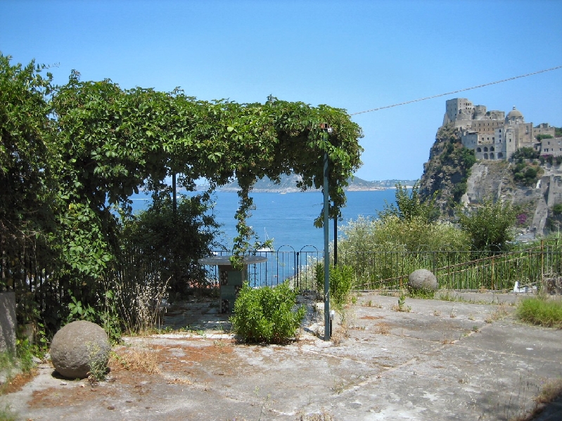 IMG 0846