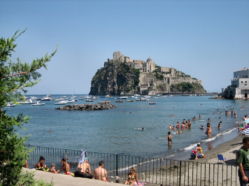 IMG 0864