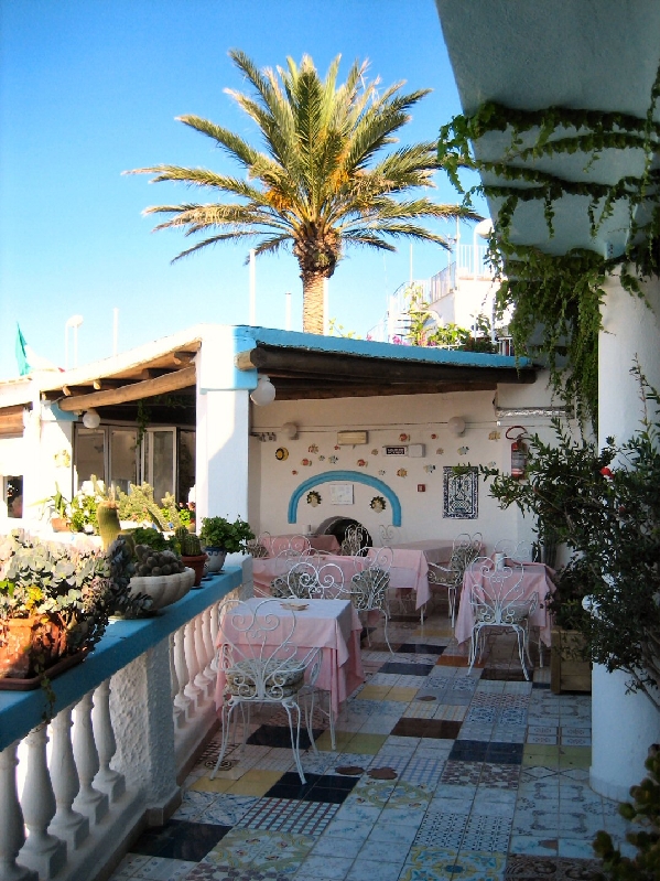IMG 0889