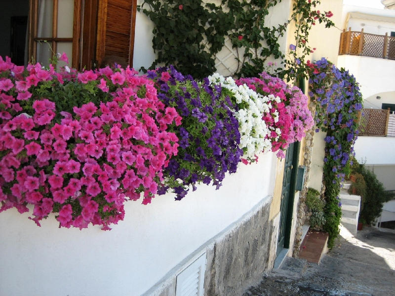 IMG 0911