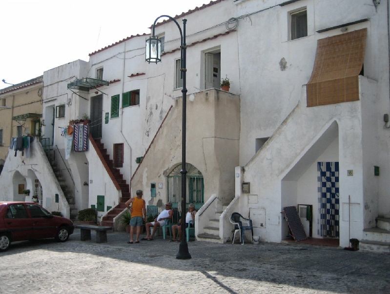 IMG 0999