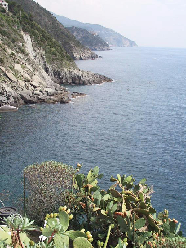 coast fr vernazza
