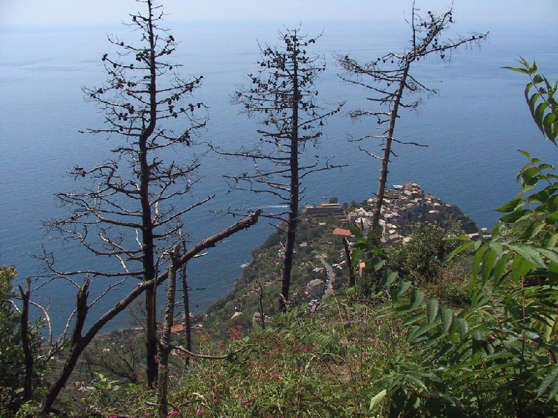 corniglia from trail2