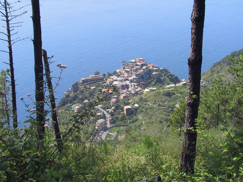 corniglia from trail3