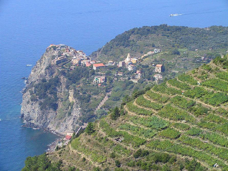 corniglia wideview