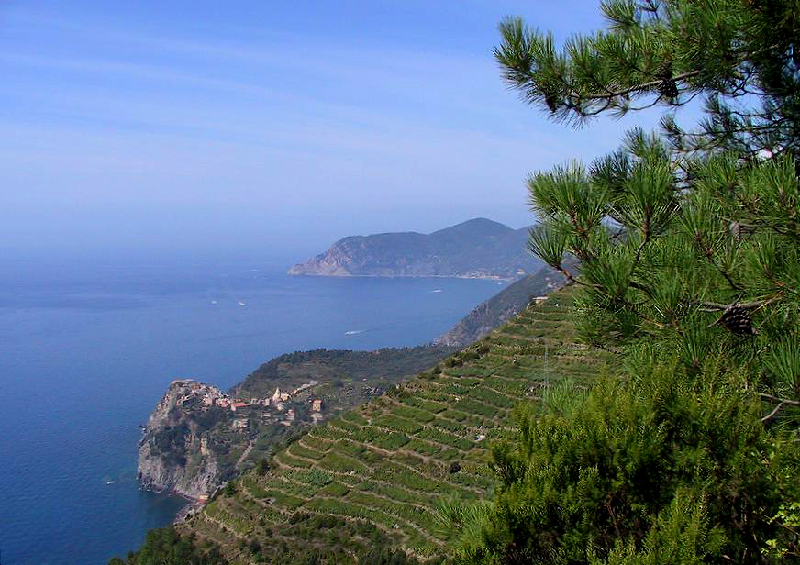 sea from trail2