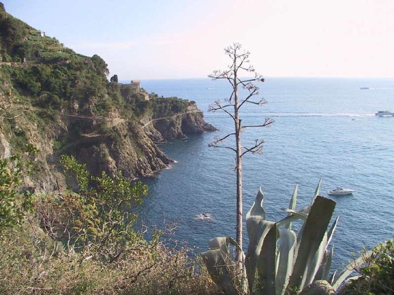 toward manarola
