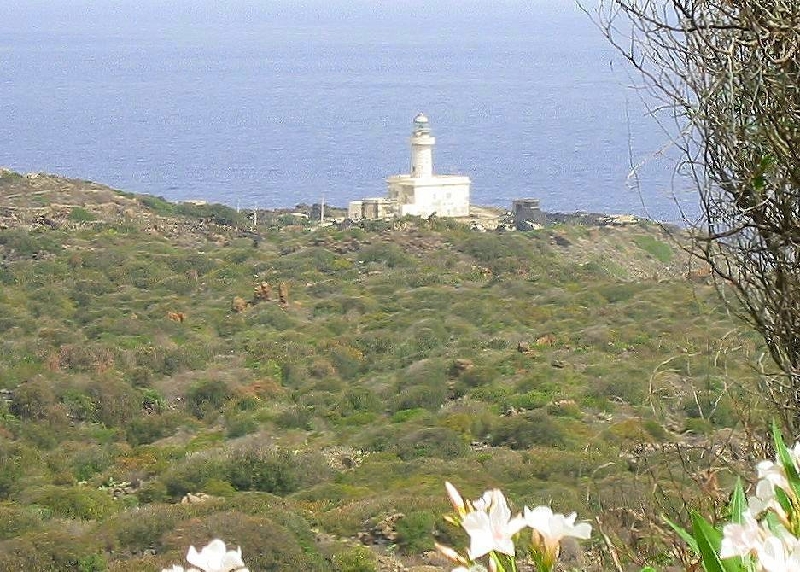 capo spadillo2