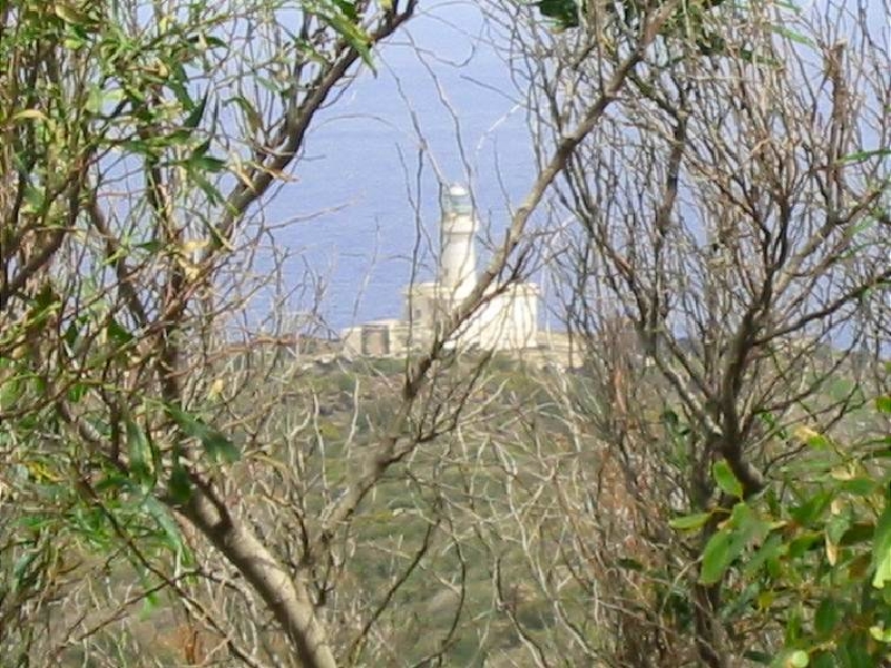 capo spadillo3