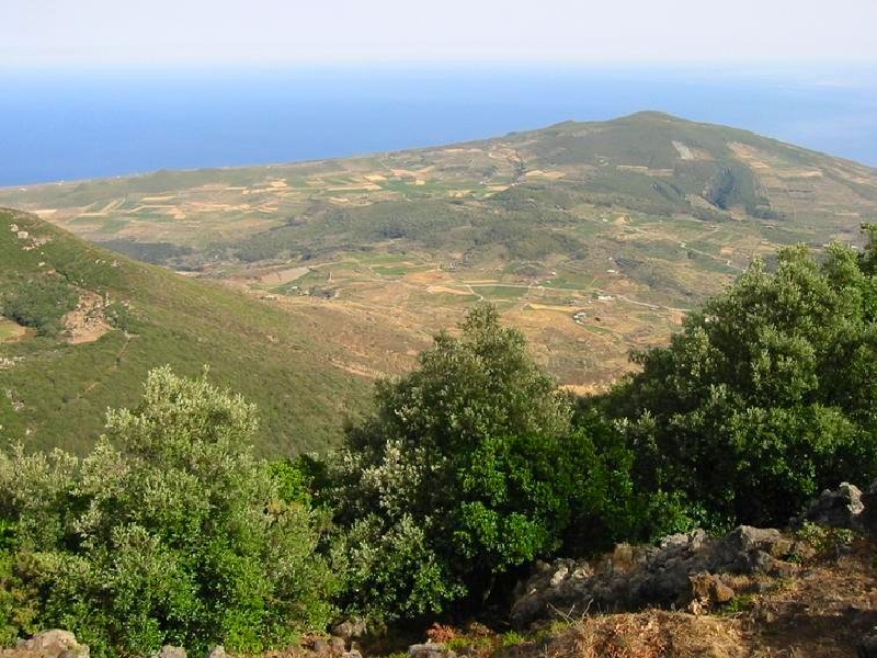 da montagnagrande