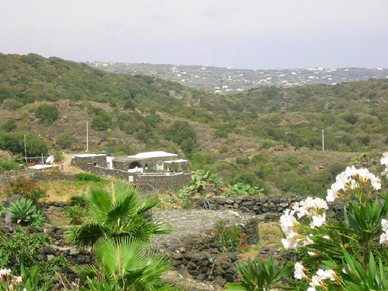 panorama5