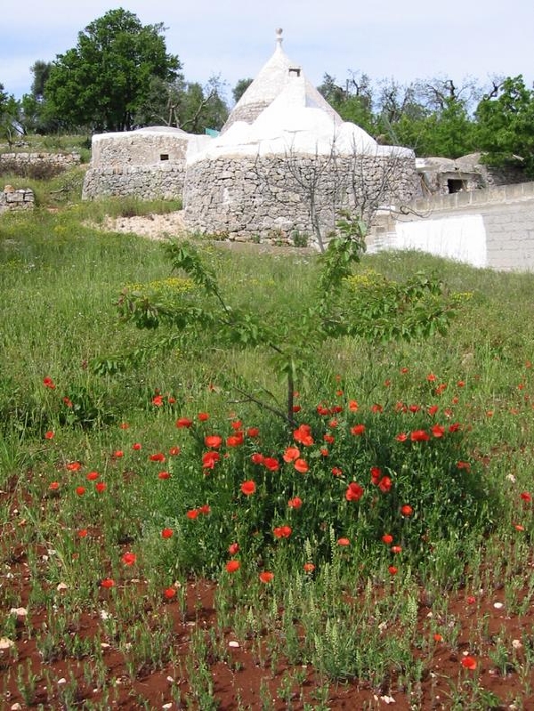 trullo raffa3
